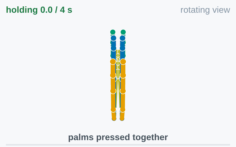 Palms pressed flat together, fingers up, seen first from your side and then from either side.