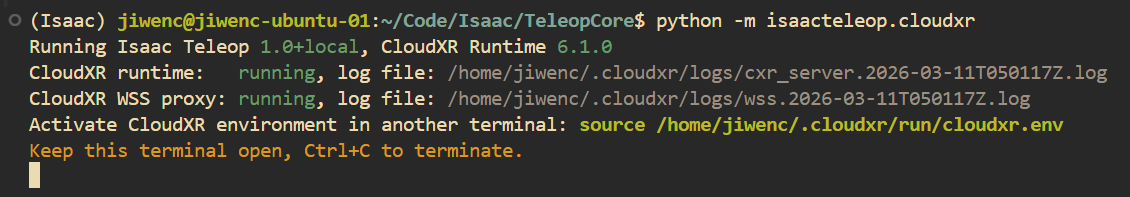 CloudXR run output
