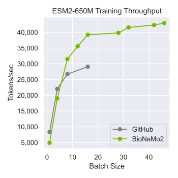 ESM-2 Single-Device Training Performance