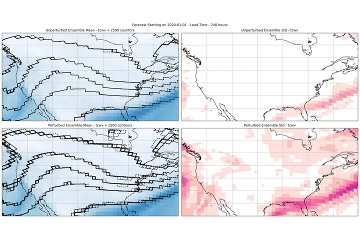 Preview of Model Hook Injection: Perturbation