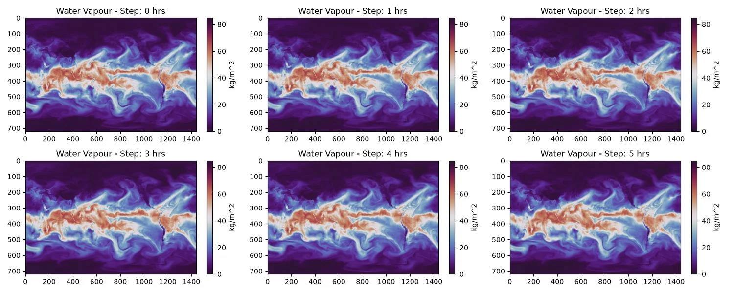 Output from Temporal Interpolation