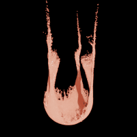 _images/fem_apic_fluid.png